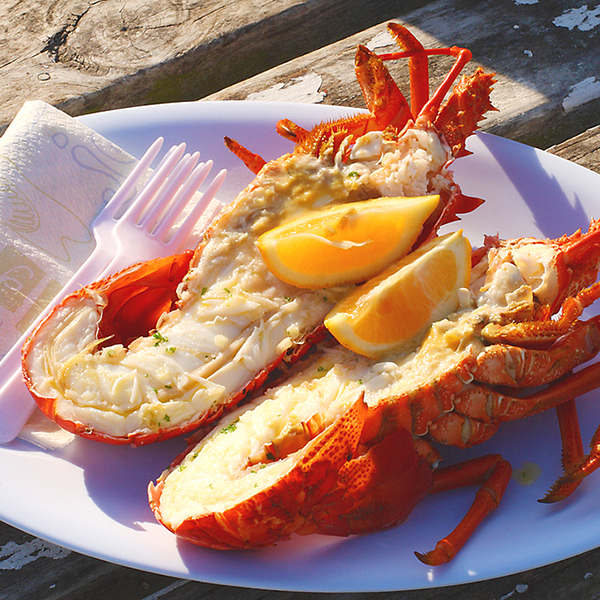 Lobsters 32 99 Each Durack Aussie Seafood House