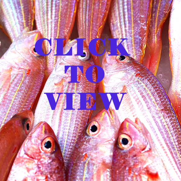 Aussie Seafood House Durack